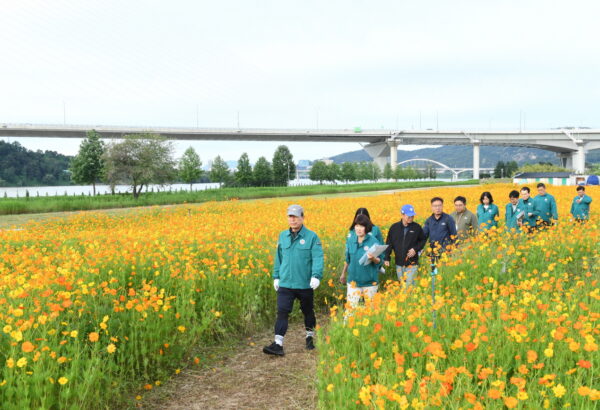 백경현 시장, '구리 코스모스축제장'의 관람객 동선 따라 시설 점검
