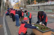 구리시 수택3동, 주민과 함께하는 봄꽃 가득한 마을만들기 추진