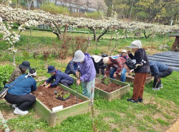 남양주시, 치유농업으로 ‘함께 행복한 고품격 복지’실현 나서
