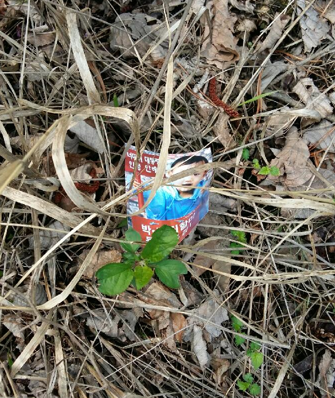 구리시, 아차산 일대 북한 불온전단 다수 살포 