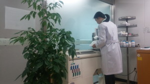 수도물 안심 실험  news-i