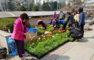구리시 수택3동, 주민과 함께 꽃이 피는 거리환경개선 