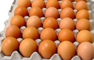 구리시, 식용란 수집판매업소 등 일제점검