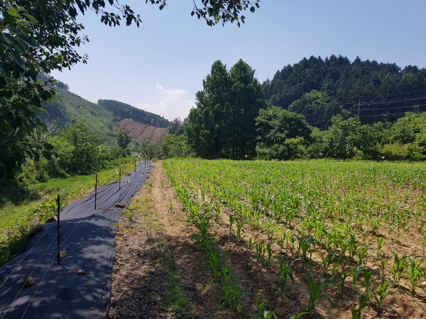 가평군, 야생동물 피해예방시설 설치 결과 좋아