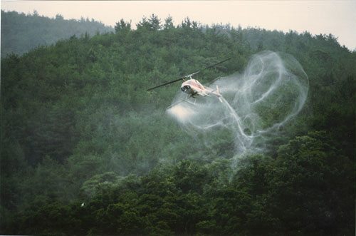 가평군, 하반기 소나무 재선충병 방제사업 추진
