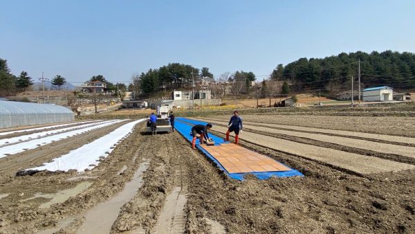 가평군, 친환경 쌀 생산을 위해 올해 첫 포트육묘 파종실시