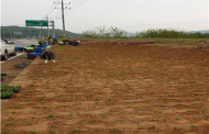 연천군,미산면 주민참여 도로변 유휴지 꽃길조성