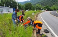 가평군 북면 의용소방대, 면사무소와 꽃길∙꽃동산 가꾸기 협약으로 꽃길가꾸기 행사