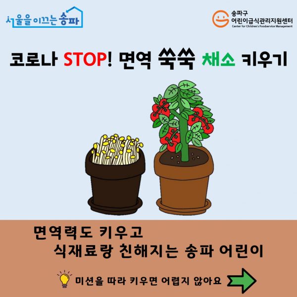 송파구, ‘코로나19 스탑! 면역 쑥쑥 채소 키우기’ 교육 진행