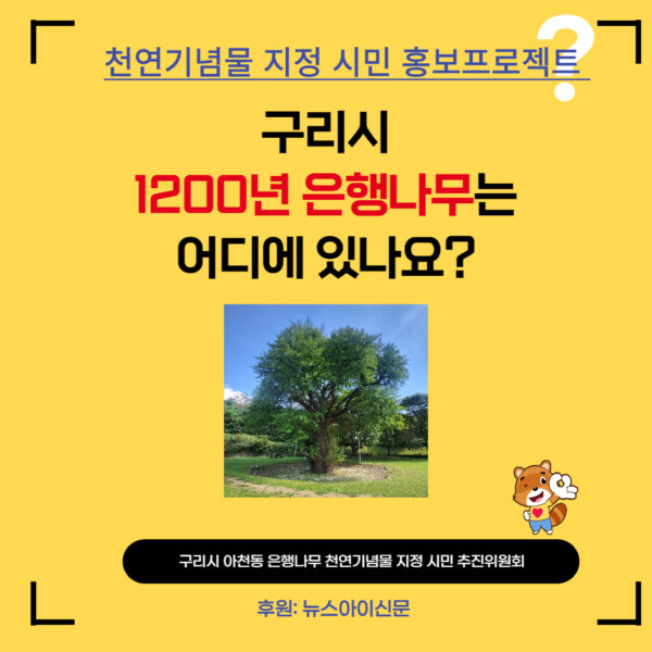 구리시 1200년 아천동 은행나무 천연기념물 지정 인포그래픽 제 1탄 공개
