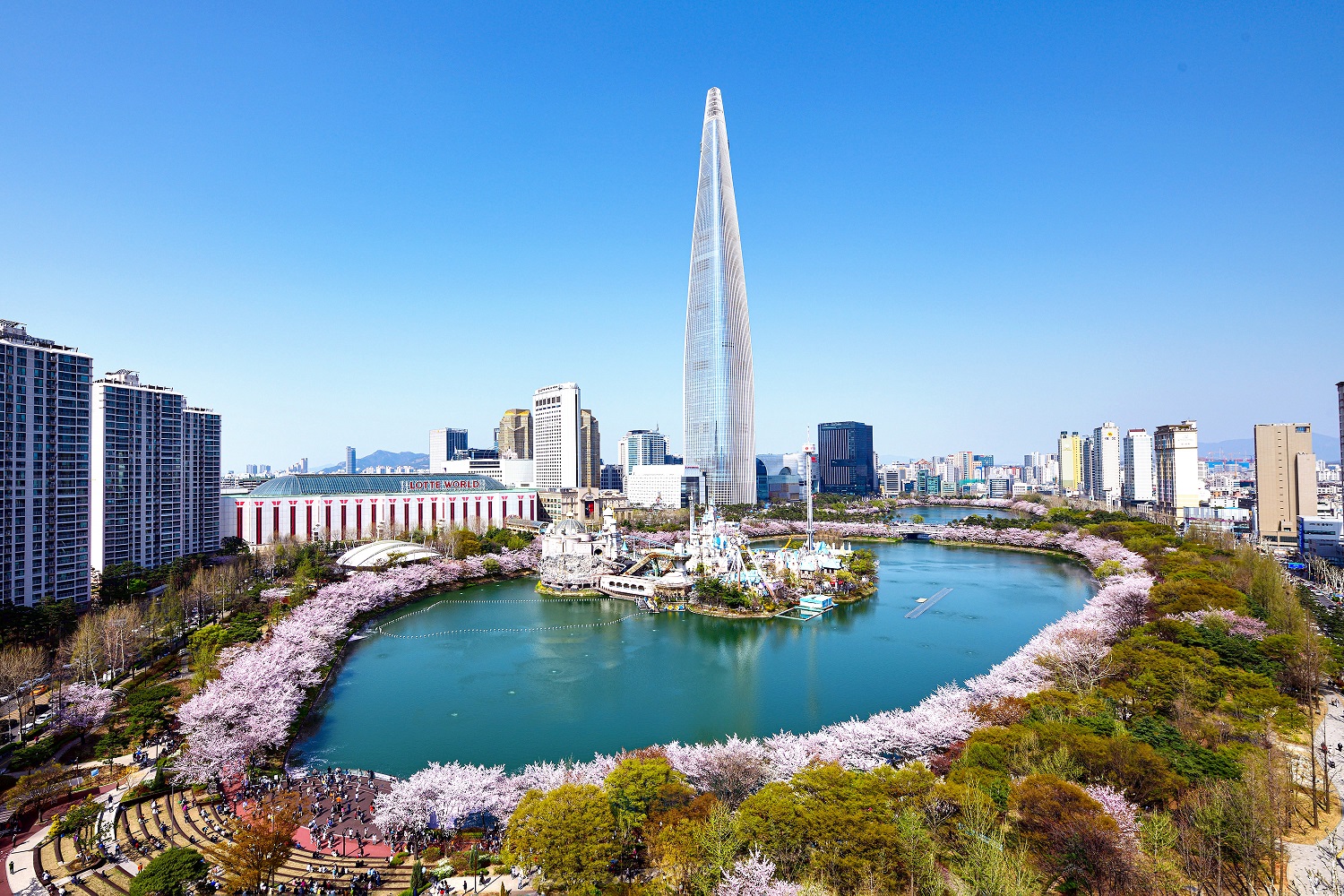 송파구, 아름다운 봄, 벚꽃이야기 “호수벚꽃축제”개최