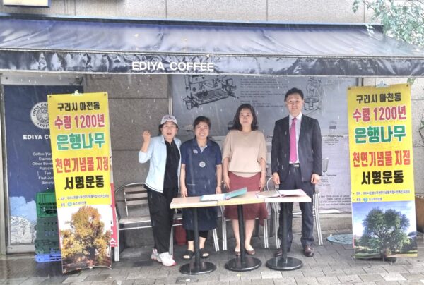 1200년 은행나무천연기념물지정 추진위, 빗속에 인창동 '이디야커피' 앞에서  서명운동 벌여