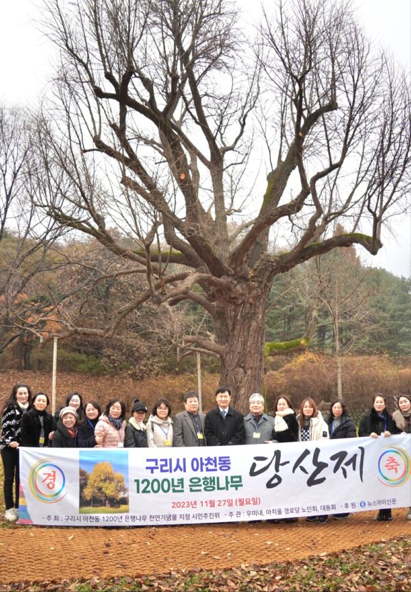 구리시 아천동 은행나무 당산제, 비 맞으며 성황리에 지내