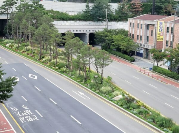 송파구, 송파 상징 담은 장송 60여 주 식재