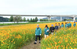 백경현 시장, '구리 코스모스축제장'의 관람객 동선 따라 시설 점검