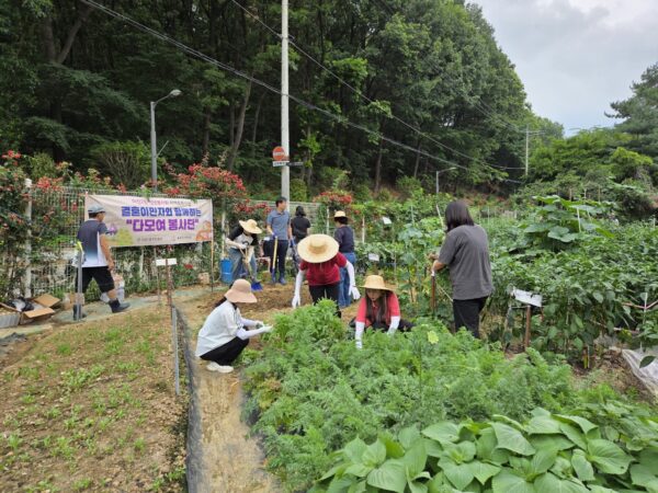 송파구, 마천2동 ‘다모여봉사단’  지역 맞춤형 봉사활동