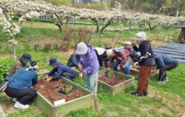 남양주시, 치유농업으로 ‘함께 행복한 고품격 복지’실현 나서